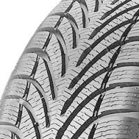 BF Goodrich g-Force Winter (205/60 R15 95H)