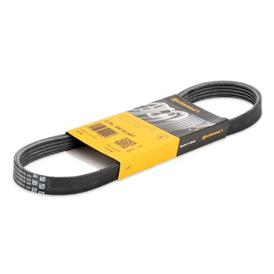 CONTITECH Moniurahihna 5PK690 ELAST FORD,Fiesta Mk5 Schrägheck (JH1, JD1, JH3, JD3),FUSION (JU_)