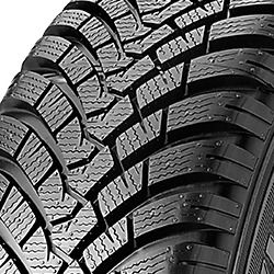 Falken EUROWINTER HS01 ( 235/35 R19 91W XL, BLK )