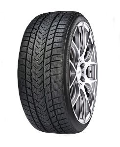 Gripmax Status Pro Winter ( 285/35 R21 105V XL )