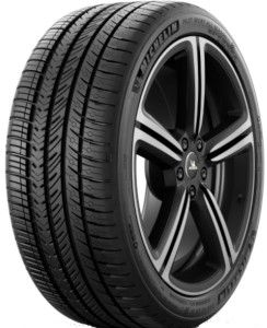 Michelin Pilot Sport A/S 4 ( 255/40 R22 103V XL, NE0 )