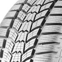 Sava Eskimo HP2 (205/55 R17 95V)