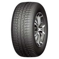 Windforce Catchfors UHP (255/30 R19 91Y)